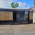 WhatsApp Image 2026-03-03 at 10.12.32