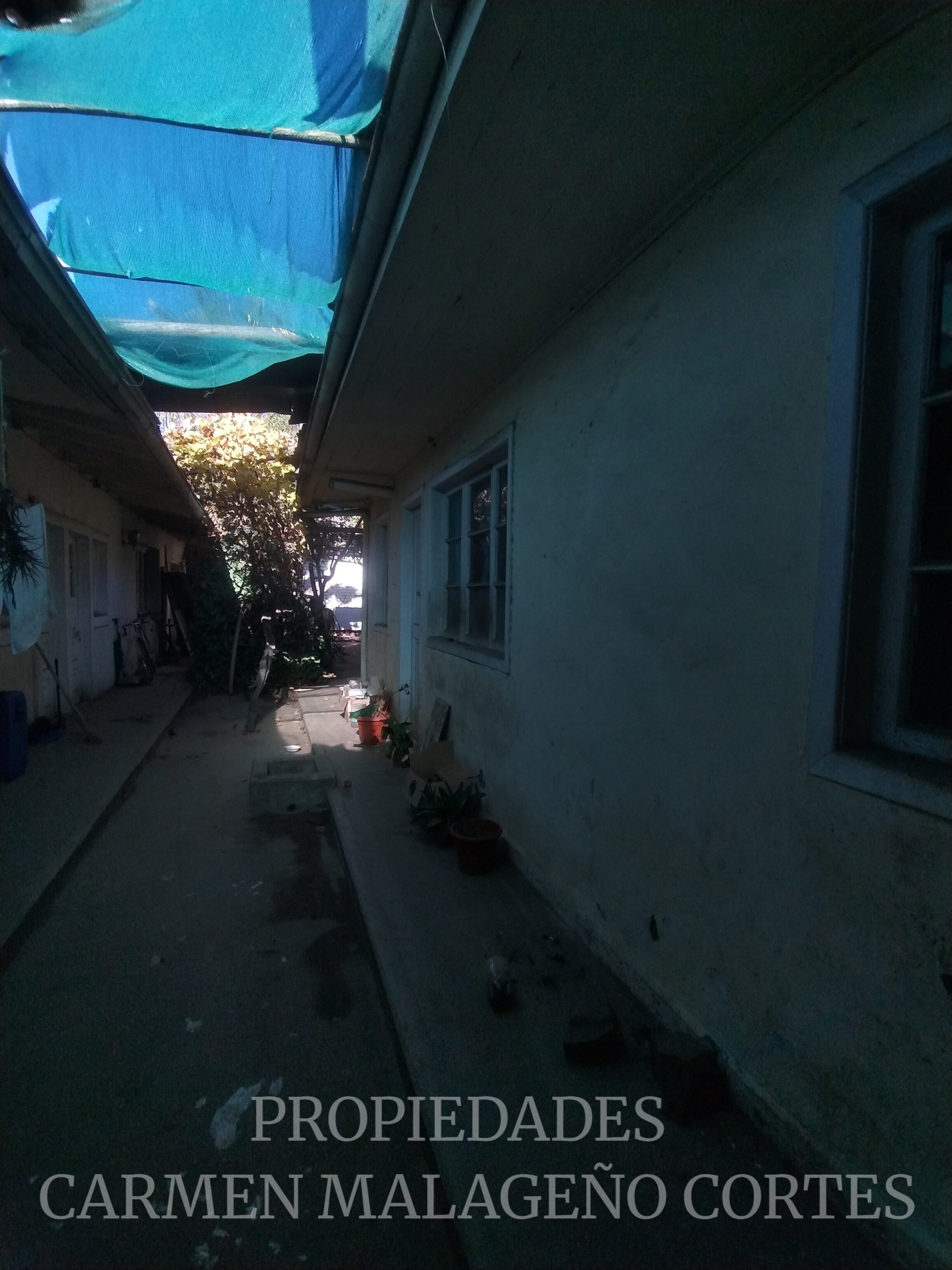 IMG_20250609_112450044