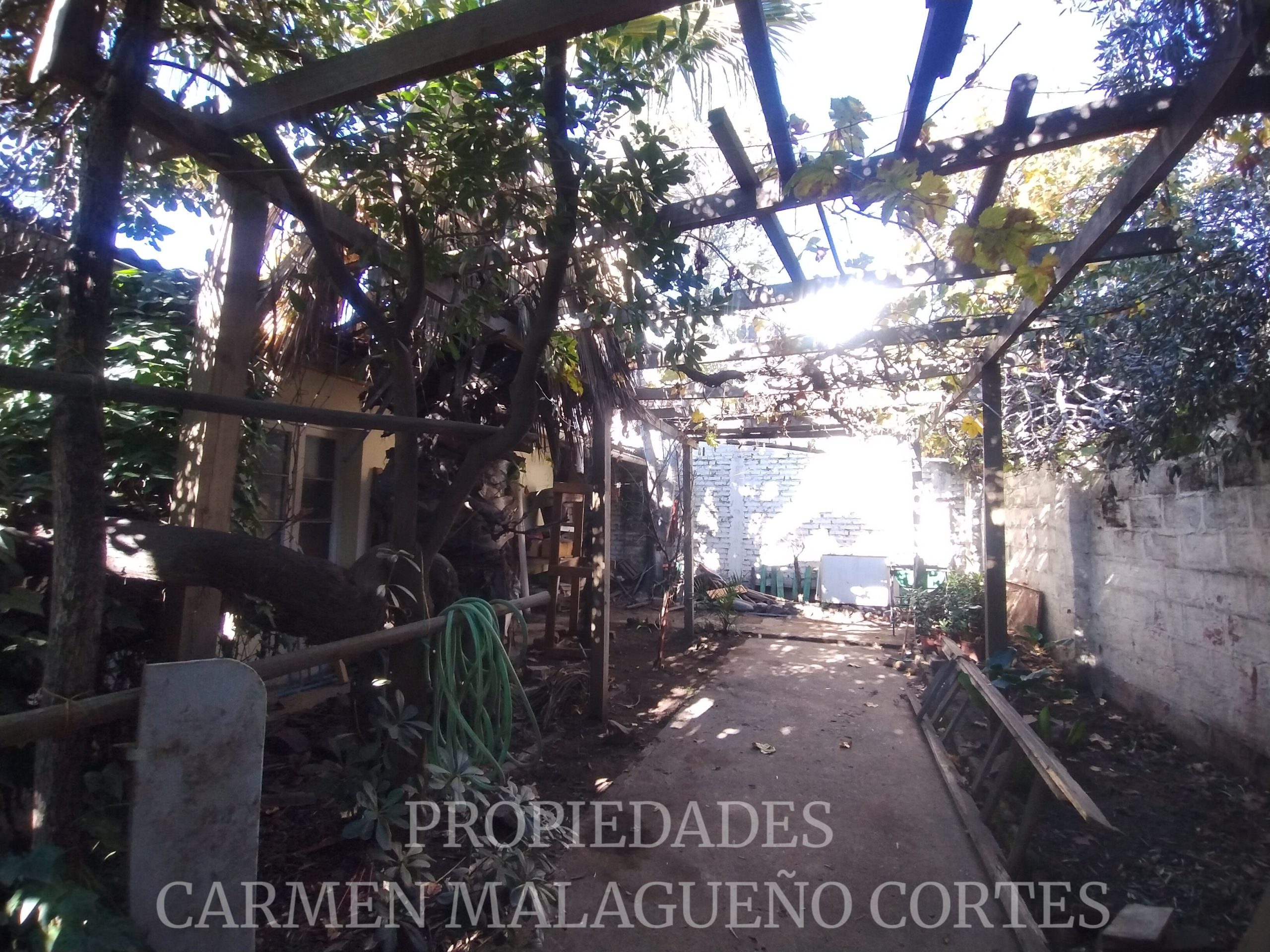 IMG_20250609_112557779