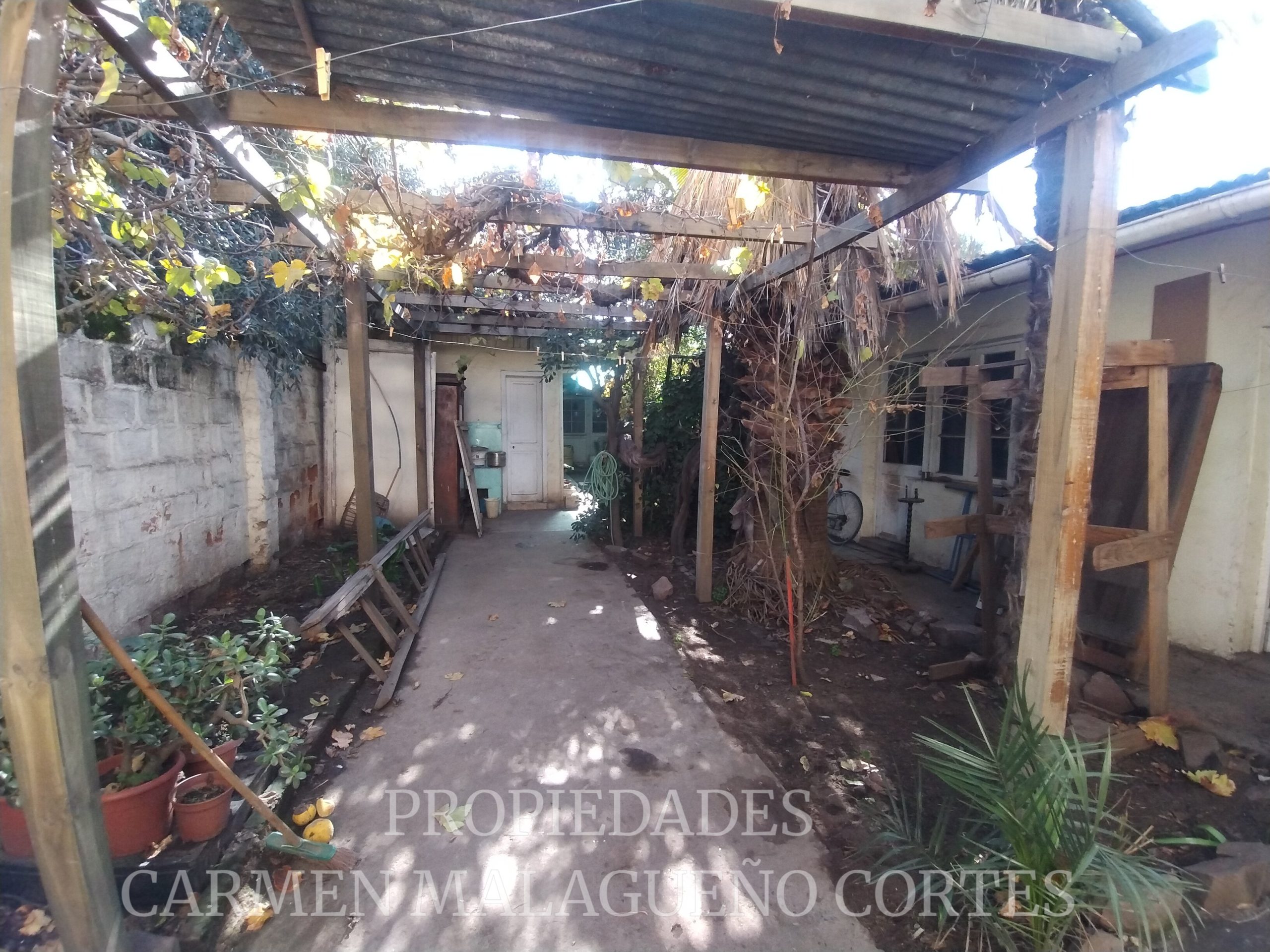 IMG_20250609_112734588